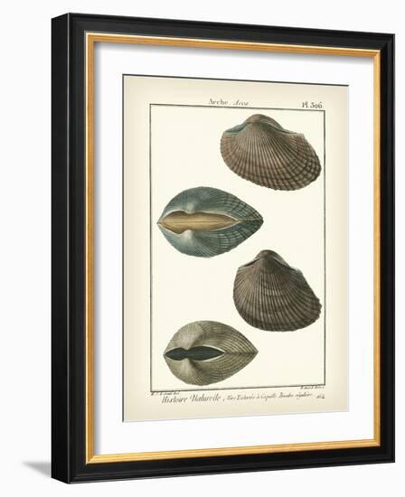 Arche Shells, Pl.306-Diderot-Framed Art Print