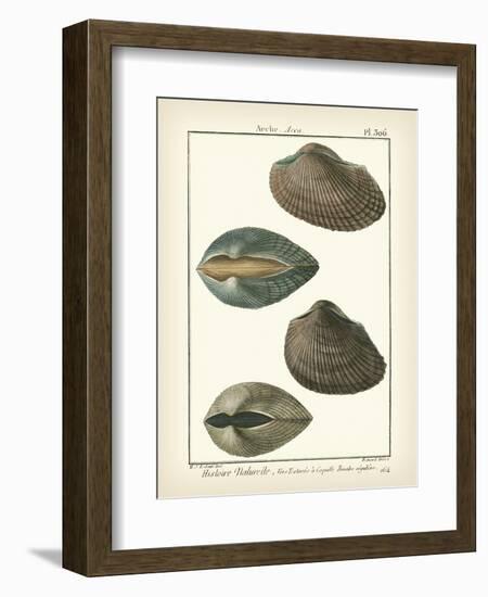 Arche Shells, Pl.306-Diderot-Framed Art Print