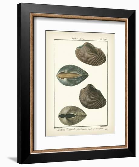 Arche Shells, Pl.306-Diderot-Framed Art Print