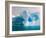 Arched Iceberg, Western Antarctic Peninsula, Antarctica-Steve Kazlowski-Framed Photographic Print