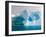 Arched Iceberg, Western Antarctic Peninsula, Antarctica-Steve Kazlowski-Framed Photographic Print