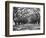 Arched Path of Trees on Plantation Site-Philip Gendreau-Framed Photographic Print