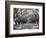 Arched Path of Trees on Plantation Site-Philip Gendreau-Framed Photographic Print