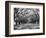 Arched Path of Trees on Plantation Site-Philip Gendreau-Framed Photographic Print