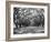 Arched Path of Trees on Plantation Site-Philip Gendreau-Framed Photographic Print