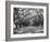 Arched Path of Trees on Plantation Site-Philip Gendreau-Framed Photographic Print