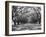 Arched Path of Trees on Plantation Site-Philip Gendreau-Framed Photographic Print