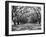 Arched Path of Trees on Plantation Site-Philip Gendreau-Framed Photographic Print