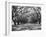 Arched Path of Trees on Plantation Site-Philip Gendreau-Framed Photographic Print