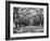 Arched Path of Trees on Plantation Site-Philip Gendreau-Framed Photographic Print