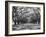 Arched Path of Trees on Plantation Site-Philip Gendreau-Framed Photographic Print