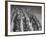 Archery National Tournament-Ralph Crane-Framed Photographic Print