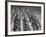 Archery National Tournament-Ralph Crane-Framed Photographic Print