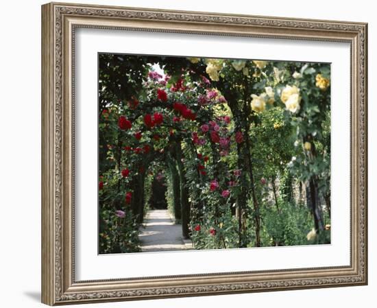 Arches Covered with Roses, Generalife Gardens, Alhambra, Granada-Nedra Westwater-Framed Photographic Print