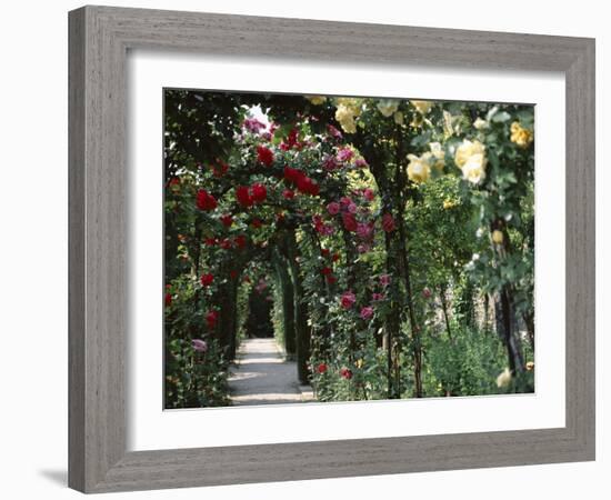 Arches Covered with Roses, Generalife Gardens, Alhambra, Granada-Nedra Westwater-Framed Photographic Print