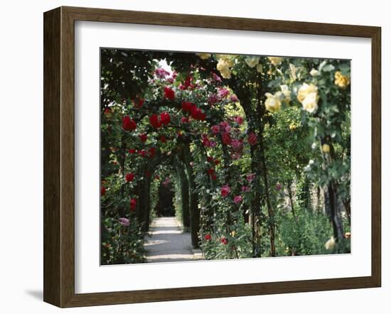 Arches Covered with Roses, Generalife Gardens, Alhambra, Granada-Nedra Westwater-Framed Photographic Print
