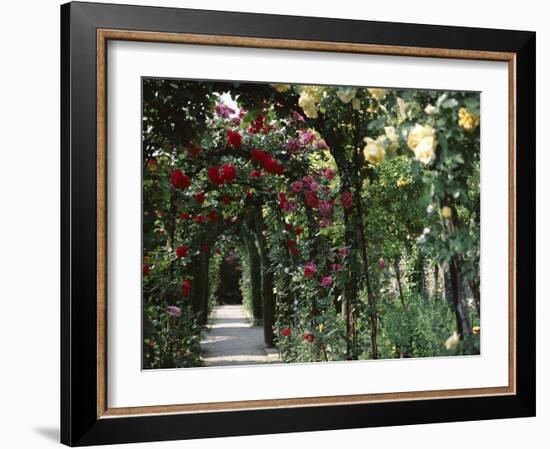 Arches Covered with Roses, Generalife Gardens, Alhambra, Granada-Nedra Westwater-Framed Photographic Print