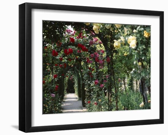 Arches Covered with Roses, Generalife Gardens, Alhambra, Granada-Nedra Westwater-Framed Photographic Print