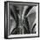 Arches, Germany, 1971-Brett Weston-Framed Photographic Print