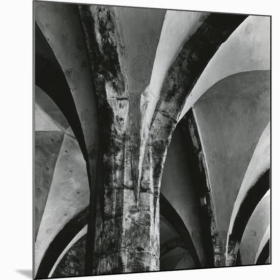 Arches, Germany, 1971-Brett Weston-Mounted Premium Photographic Print
