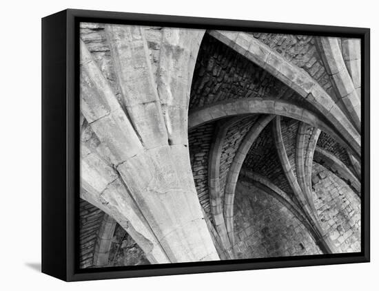 Arches Mono-Doug Chinnery-Framed Premier Image Canvas