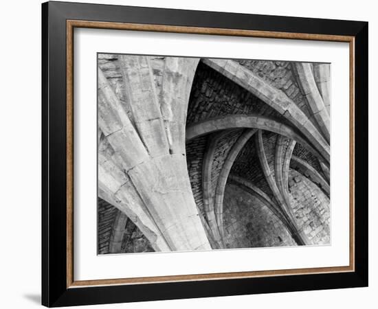 Arches Mono-Doug Chinnery-Framed Photographic Print