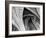 Arches Mono-Doug Chinnery-Framed Photographic Print