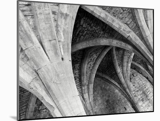 Arches Mono-Doug Chinnery-Mounted Photographic Print