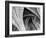 Arches Mono-Doug Chinnery-Framed Photographic Print