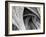 Arches Mono-Doug Chinnery-Framed Photographic Print