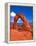 Arches National Park III-Ike Leahy-Framed Premier Image Canvas