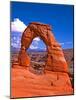 Arches National Park III-Ike Leahy-Mounted Photographic Print