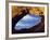 Arches National Park, Utah, USA-John Warburton-lee-Framed Photographic Print