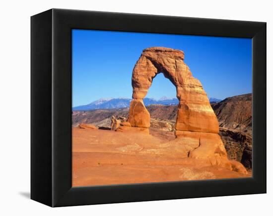 Arches National Park, Utah, USA-David Parker-Framed Premier Image Canvas