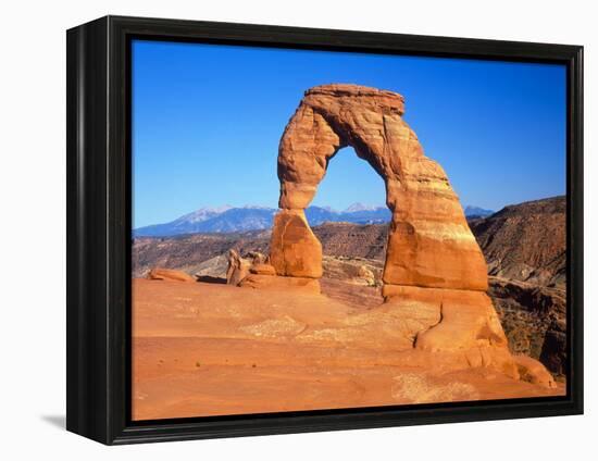 Arches National Park, Utah, USA-David Parker-Framed Premier Image Canvas