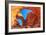 Arches National Park-Elena_Suvorova-Framed Photographic Print