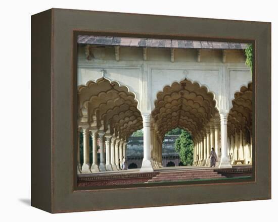 Arches, the Red Fort, Agra, Unesco World Heritage Site, Uttar Pradesh State, India, Asia-Occidor Ltd-Framed Premier Image Canvas