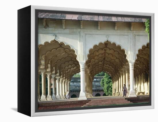 Arches, the Red Fort, Agra, Unesco World Heritage Site, Uttar Pradesh State, India, Asia-Occidor Ltd-Framed Premier Image Canvas