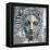 Archetype IX-Elena Ray-Framed Stretched Canvas