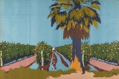 Irrigating Currant Vines - Australia-Archibald Bertram Webb-Framed Giclee Print