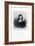 Archibald Campbell, 1st Marquess of Argyll, Scottish Statesman-S Freeman-Framed Giclee Print