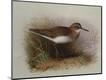 Giclee Print