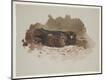 Giclee Print