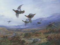 Grouse Taking Flight-Archibald Thorburn-Giclee Print
