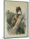 Giclee Print