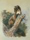 Giclee Print