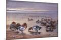 Premium Giclee Print
