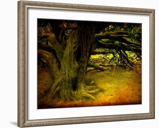 Archibald-Cristina Carra Caso-Framed Photographic Print