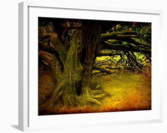 Archibald-Cristina Carra Caso-Framed Photographic Print