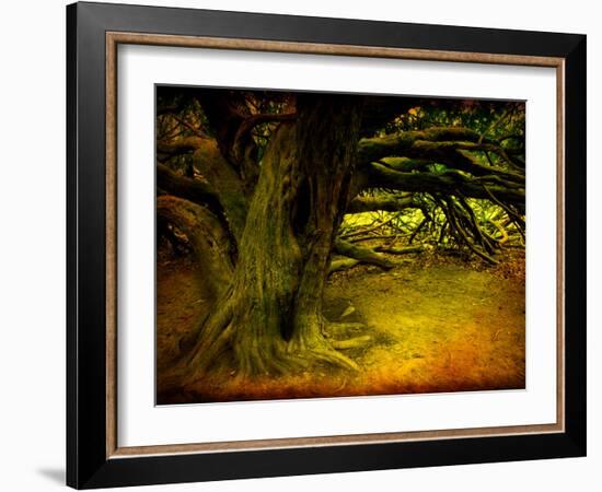 Archibald-Cristina Carra Caso-Framed Photographic Print